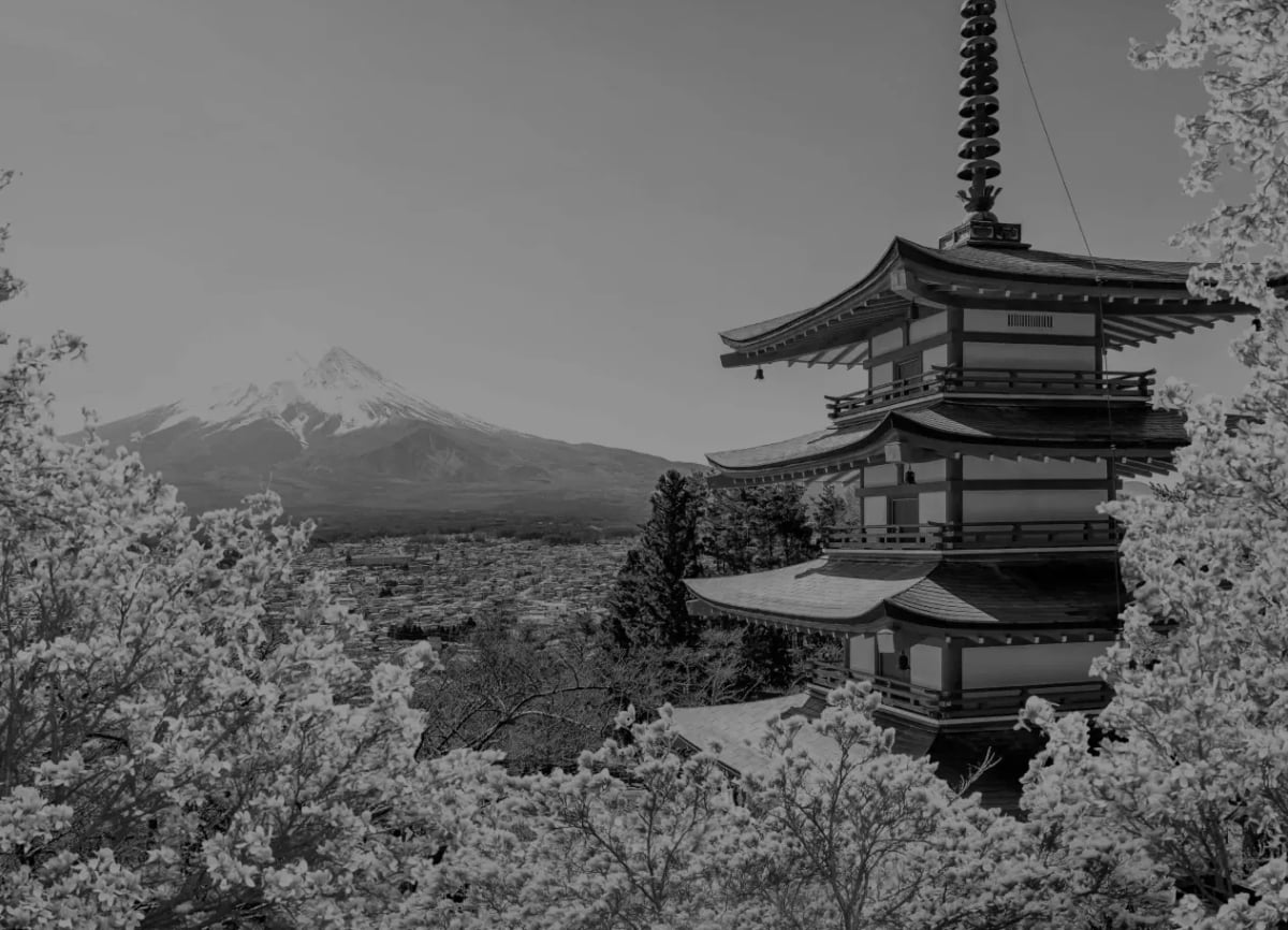 Tokyo skyline in black and white